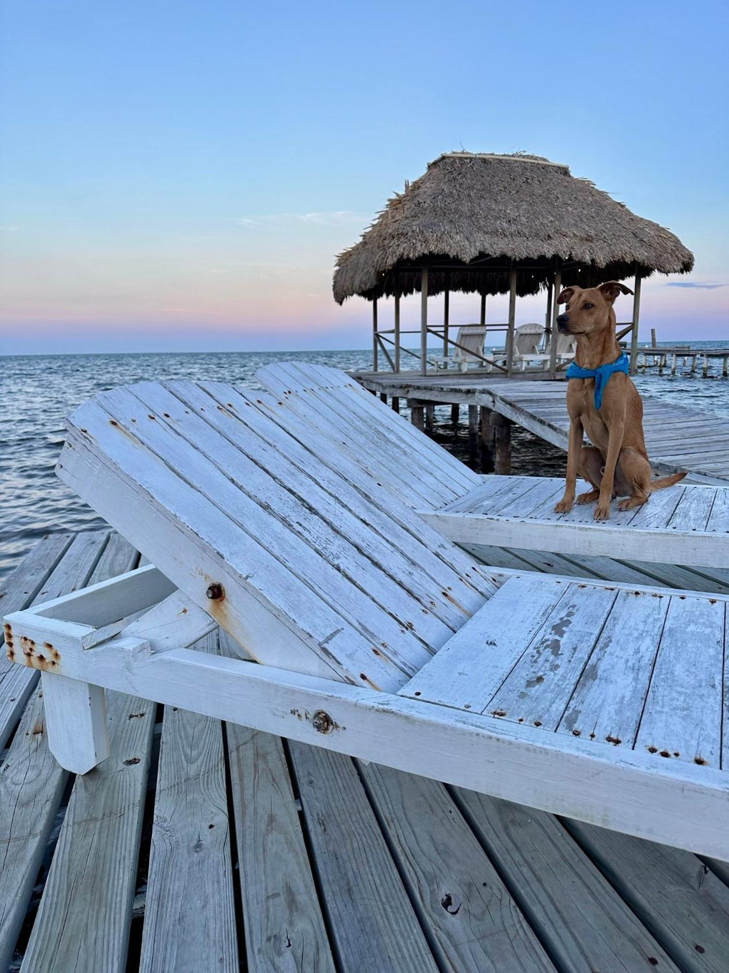 Barefoot Beach Belize キー・カーカー エクステリア 写真